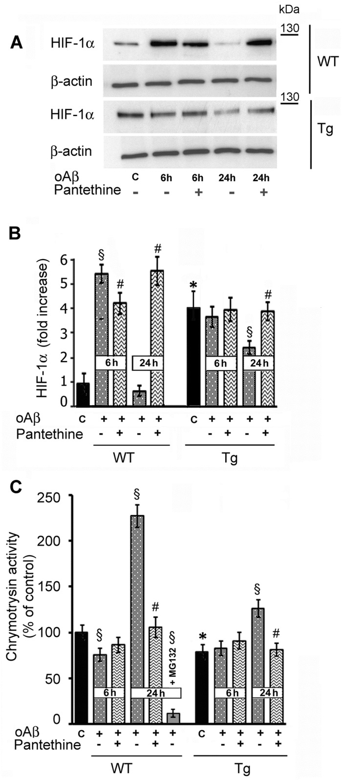 Fig 7