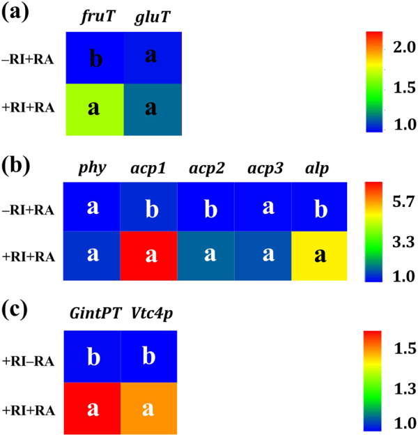 Fig. 7