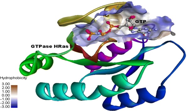 Fig. 1