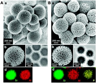 Figure 31