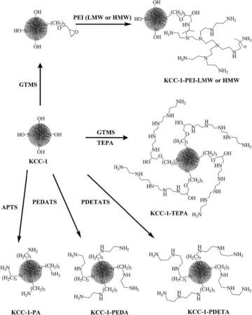 Figure 62