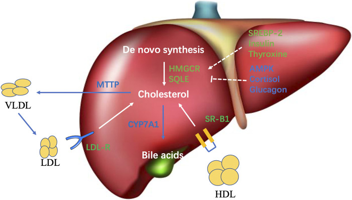 FIGURE 1