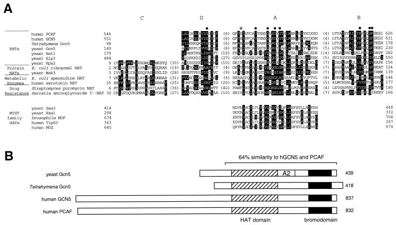 FIG. 1