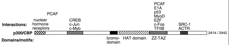 FIG. 5