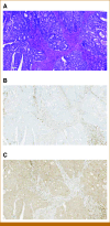 FIG 1.