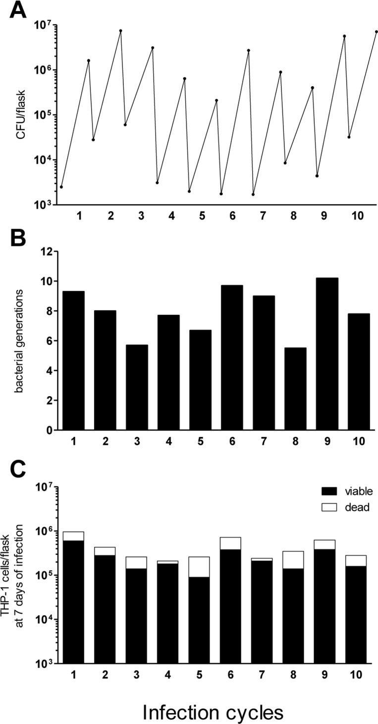 Fig 2