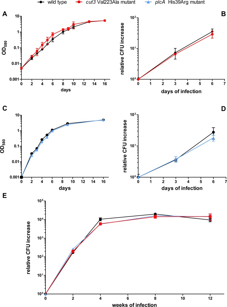 Fig 3