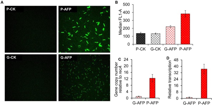 FIGURE 4