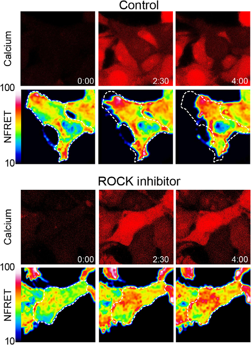 FIGURE 3