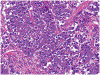 FIGURE 9.