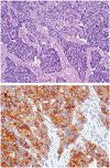 FIGURE 10.