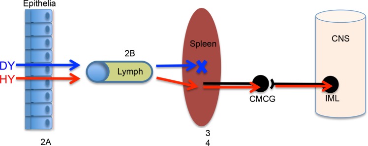 Fig 6