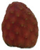 graphic file with name molecules-26-06429-i004.jpg