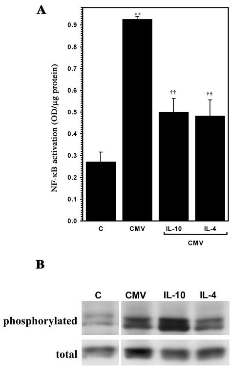 FIG. 5.