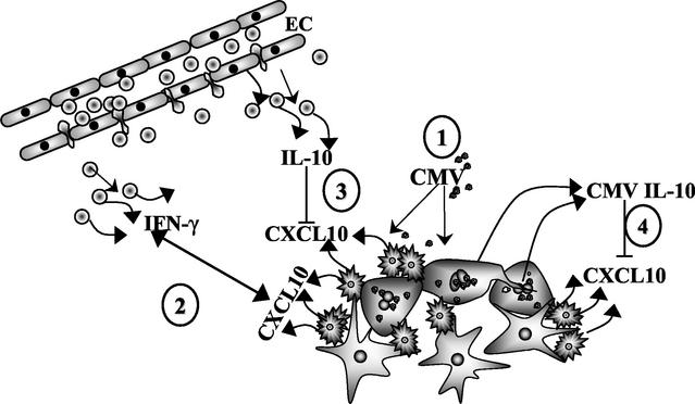 FIG. 8.