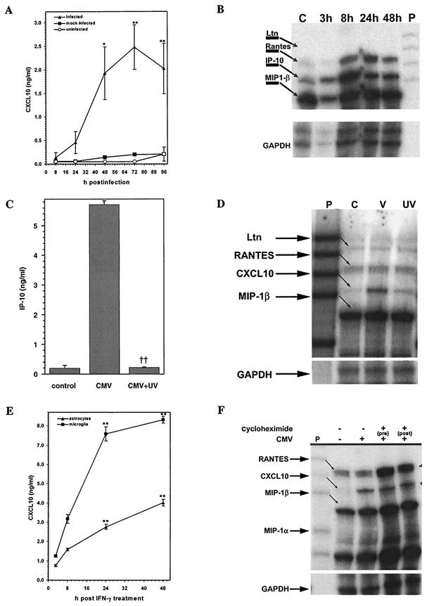 FIG.1.