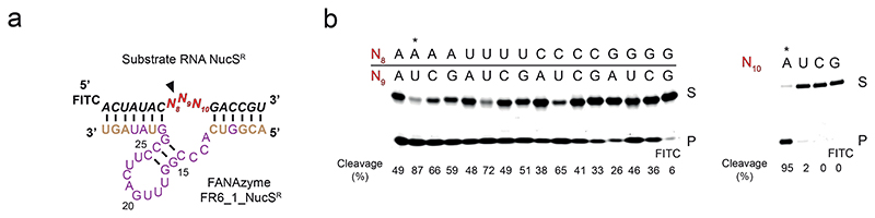 Extended Data Fig. 2