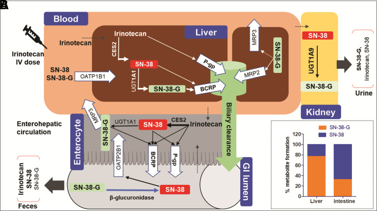 Fig. 6.