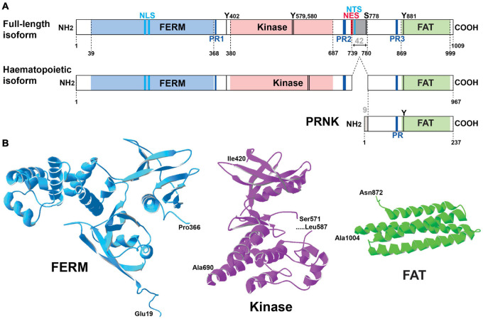 FIGURE 1