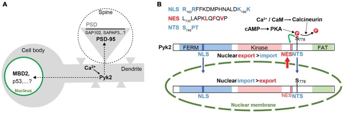 FIGURE 3