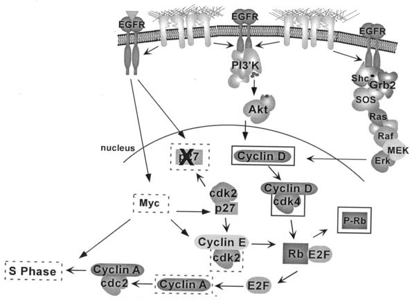 FIG. 8.