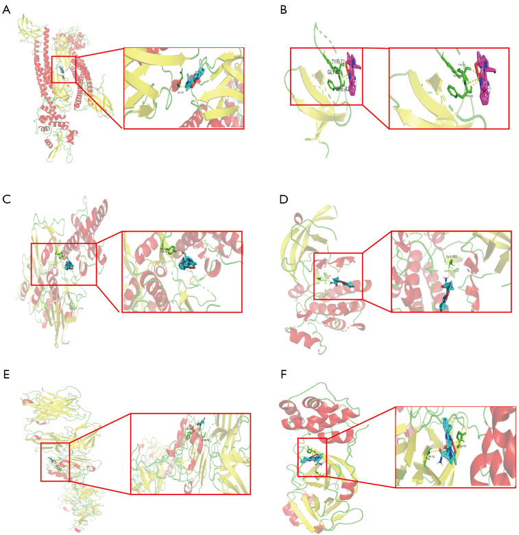 Figure 6