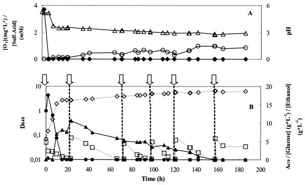 FIG. 8.