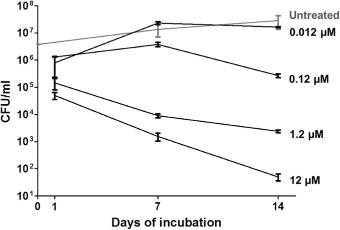 FIG 2