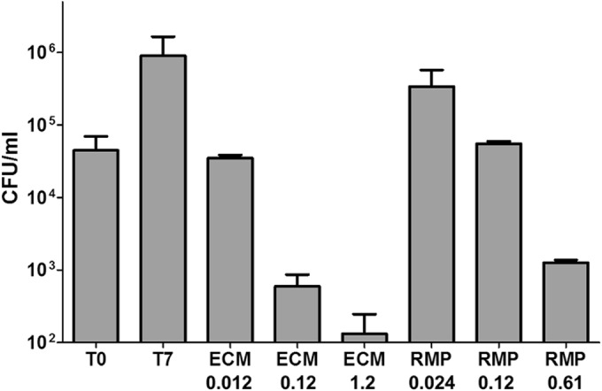 FIG 3