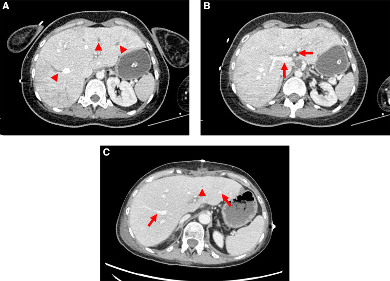 FIGURE 1.