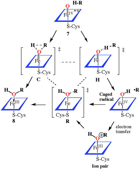 Scheme 2