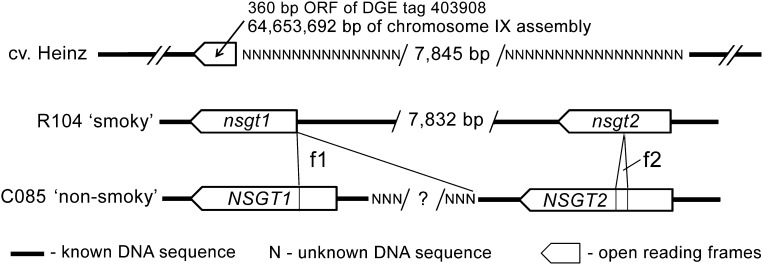 Figure 2.