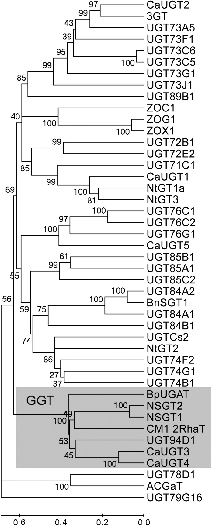 Figure 3.