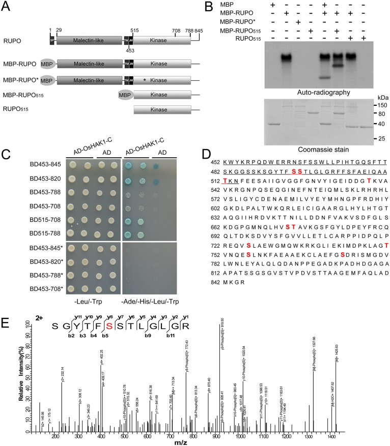 Fig 6