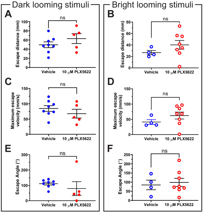 Figure 5—figure supplement 1.