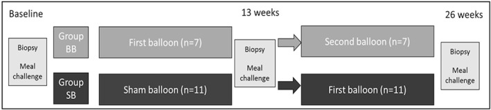 FIGURE 1