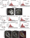 Figure 1—figure supplement 1.