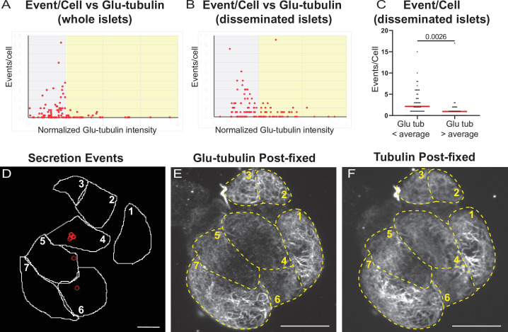 Figure 2—figure supplement 2.