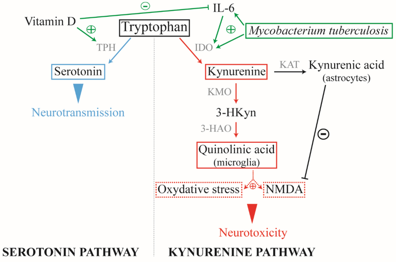 Figure 2: