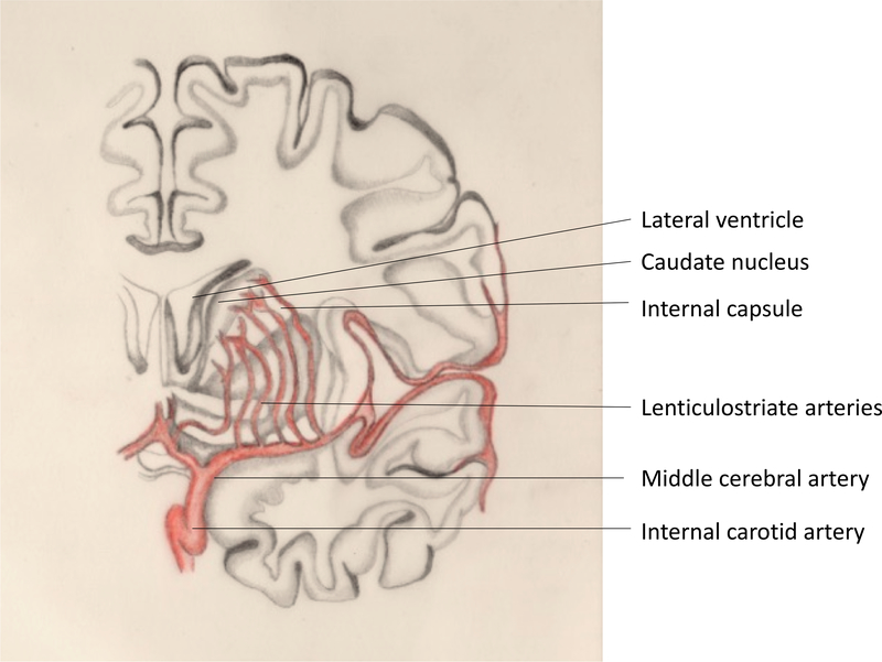 Figure 5: