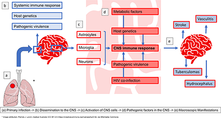 graphic file with name nihms-1001220-f0001.jpg