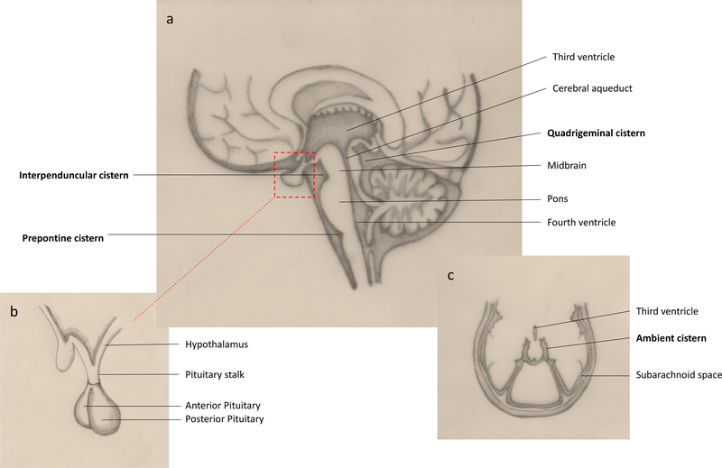 Figure 4: