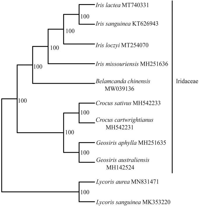 Figure 1.