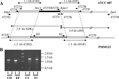 FIG. 2.