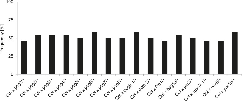 Figure 1—figure supplement 4.