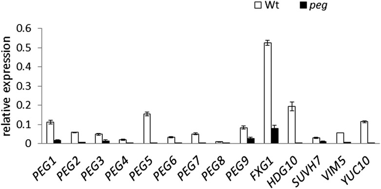 Figure 1—figure supplement 3.