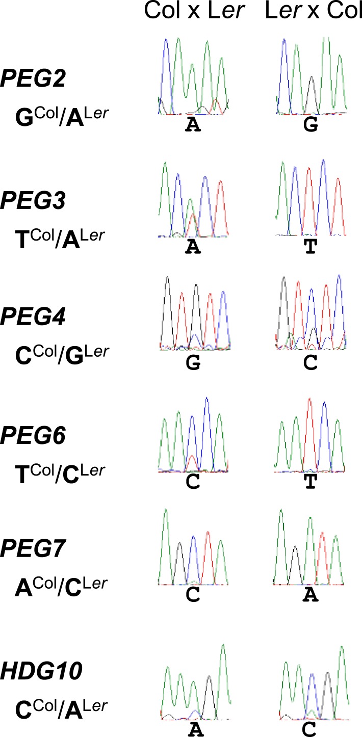 Figure 1—figure supplement 1.