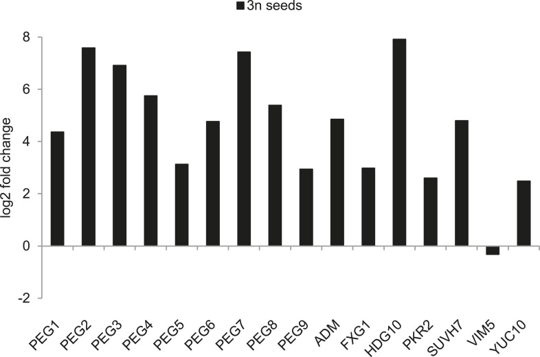 Figure 2—figure supplement 1.