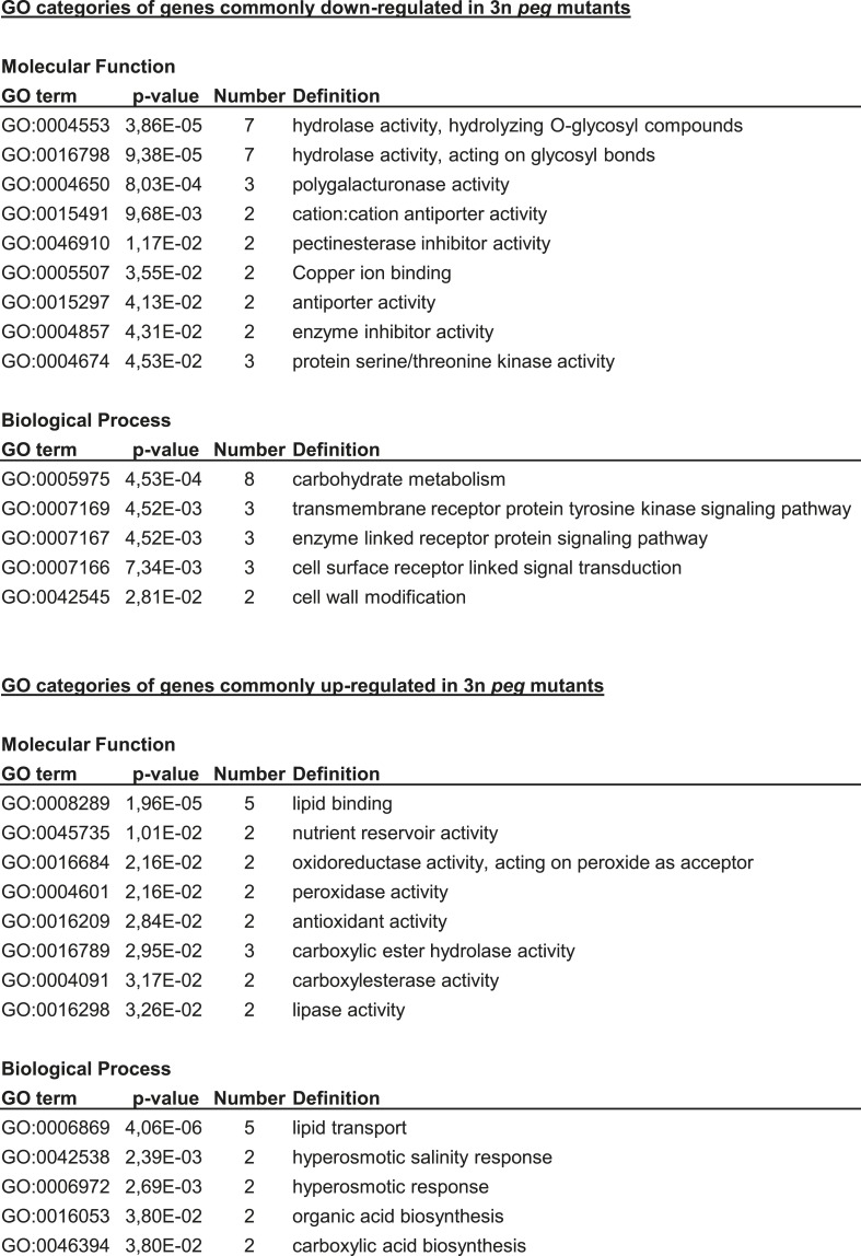 Figure 3—figure supplement 1.