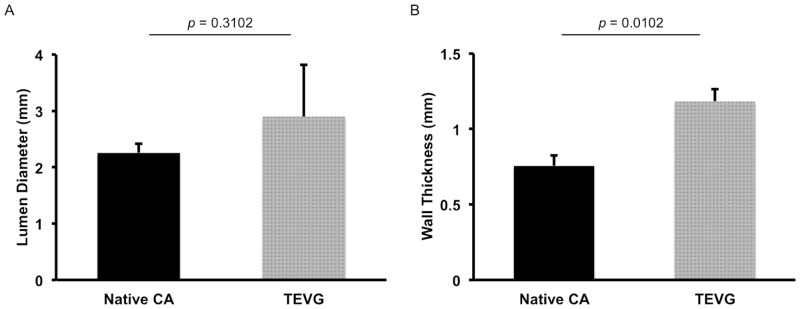 Fig 5